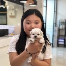 독한견 | 대구강아지 분양후기 믿고찾는 아이러브독대구점