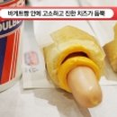 몽켓 네이버블로그