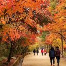 부봉[釜峰 935m], 탄항산[炭項山,856m,월항삼봉(月項蔘峰)]=문경 새재 과거길 이미지