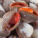 벌교택배 이미지