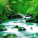 만고강산 - 광산구 | 만고강산