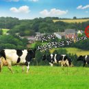 신우목장 이미지