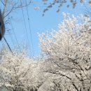 김포농협 하나로마트 이미지