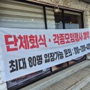 도도한암퇘지 이미지