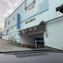 매일수산 | 안면도수산시장 회센터 매일수산365 모듬회 회포장 후기 in 캠핑장