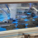 깨소금횟집 이미지