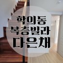 다은채 이미지