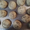 샌드위치, 샐러드 포장 이미지