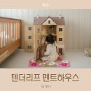돌하우스 | 크리스마스장난감 텐더리프 펜트하우스 돌하우스 언박싱 후기