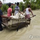 수레로108 이미지