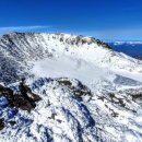 그린 팜파스 이미지