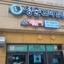 청춘꼬마김밥엔떡볶이