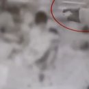 제천어린이집 이미지