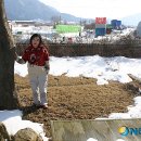 단미갤러리 이미지