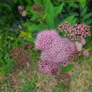 데일리로그감성사진관 이미지