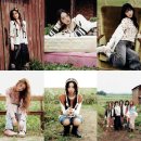 아일랜드 이미지