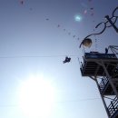 거제도국제펭귄수영축제 | [경상남도 거제시] 거제도 국제펭귄수영축제