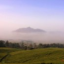 서광목장 이미지