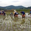 마산면사무소 이미지