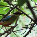 대왕암공원관리사무소 이미지