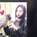 써니애견 미용실 이미지