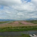 낙동강관리본부 화명생태공원 10 이미지