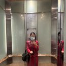 서02-404 | 홍콩세금신고 완료 그리고 역대급 별로였던 인도네시아 덴파사 턴👎🏻