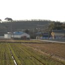 다산1리 이미지