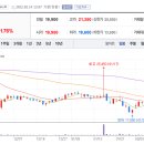 조비농장 이미지