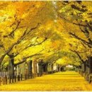 최명숙