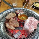 음성농장 - 용인시 기흥구 동백죽전대로527번길 100-43 | 음성농장