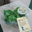 법인양촌면한우