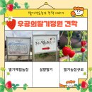 우공농장 | 우공의딸기정원 선도농가 견학 후기
