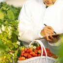 옹진군농업기술센터 이미지