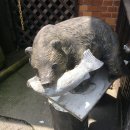 둘리노래연습장 이미지