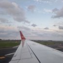 레드향 민박 이미지