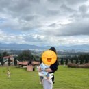 거창축사 | 거창 아기랑 갈만한곳 거창맛집 이수미팜베리 방문후기