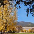 진미고래 | 고래