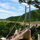 포천한탄강하늘다리 이미지