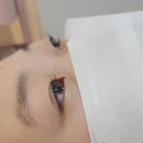 속눈썹하리