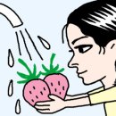 포인트