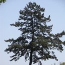 요산요수 이미지