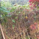 한결농장 이미지