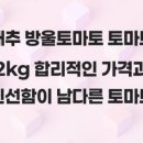 토마토2 이미지