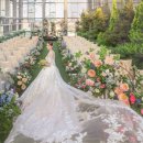 노보텔 앰배서더 서울 동대문 호텔 이미지