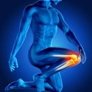 동해명가한의원 이미지