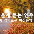 가을에 듣는 연주곡🌾가을 속 감미로운 아침음악 3시간 🎵 힐링음악, 요가음악, 명상음악, 스트레스해소음악 (Autumn Weeken 이미지