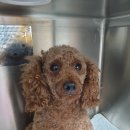 원스동물병원 이미지