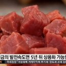 고기파마 이미지