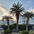 켄싱턴리조트 서귀포점 | 제주도 가성비 숙소 켄싱턴리조트 서귀포점 숙박, 조식 솔직후기